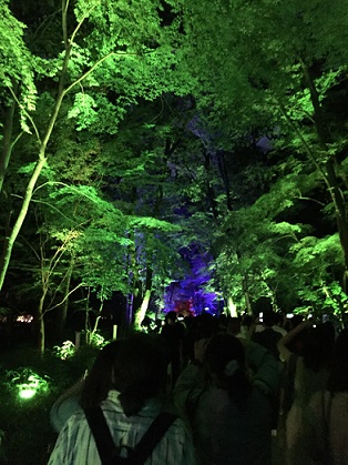 糺の森の光の祭